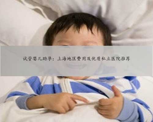 试管婴儿助孕：上海地区费用及优质私立医院推荐