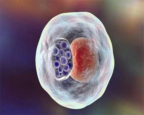 试管移植后可以吃西红柿吗？~三代供卵试管