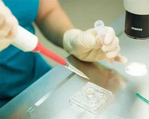 婴儿游泳池设备哪家好（游泳设备品牌排行榜）~代怀产子价格