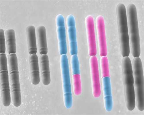 囊胚级别成功率对照表，试管囊胚级别与成功率~代生咨询套餐