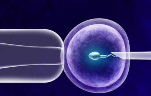 试管囊胚移植第七天白板后仍有希望存在翻盘机会！~试管代生子