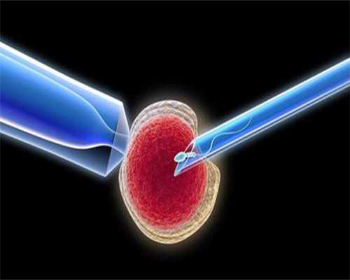 怀孕期间有哪些生活禁忌~代孕机构