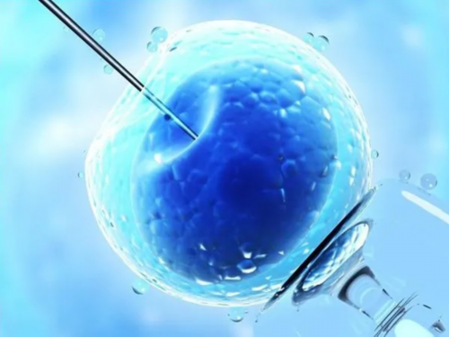 冻胚移植第七天小腹胀隐痛正常吗~供卵试管费用