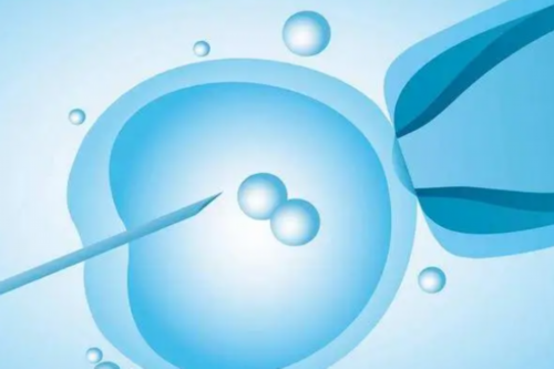 2026山东十大试管医院预约流程_山东试管婴儿哪里好！