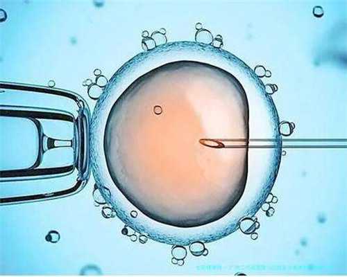 amh半年会下降多少？amh半年下降一半~代怀公司服务