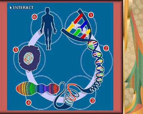 煮鸡蛋多长时间最好吃（水煮鸡蛋多长最佳时间）~知名代怀孕