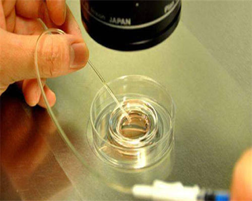 试管婴儿移植好多天可以照B超确定宫内孕~代生代怀机构