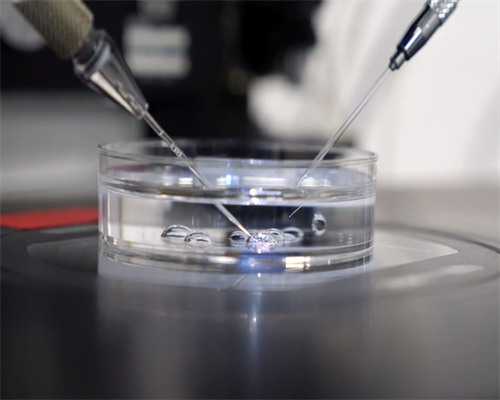 孕妇能吃河蚌吗孕妇吃河蚌注意事项~代生咨询套餐