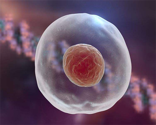 胎停育后还可以保胎吗