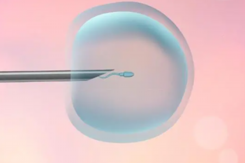 青岛男子找代孕反悔,青岛公立医院做三代试管婴儿价格多少？附医院试管婴儿