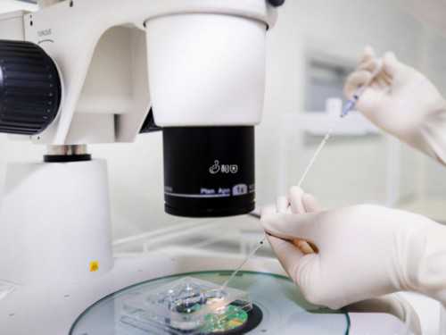 青岛妇幼三代试管怎么样〖青岛妇幼能做三代吗〗