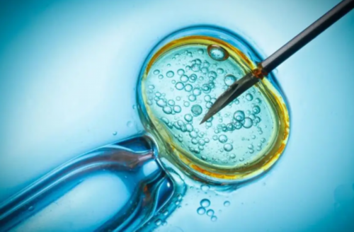 青岛找个代孕妈妈得多少钱,青岛大学附属医院试管婴儿多长时间(肇庆中山三院