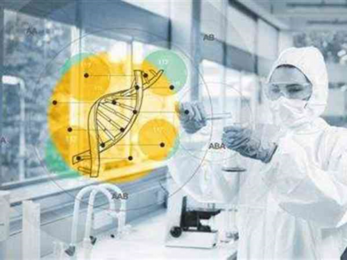 怀孕前的准备：月经不调怎么调理~代生孩子服务