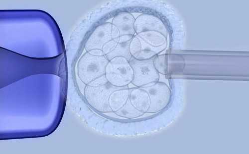 促排取卵会不会痛？对身体有没有影响？~供卵试管