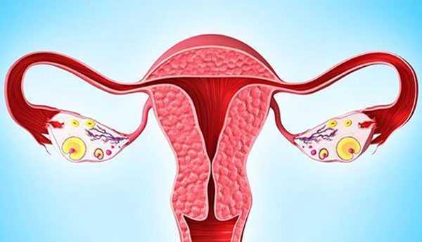 青岛试管供卵_女性输卵管堵塞，子宫内膜异位症时，是该选择试管婴儿还是宫