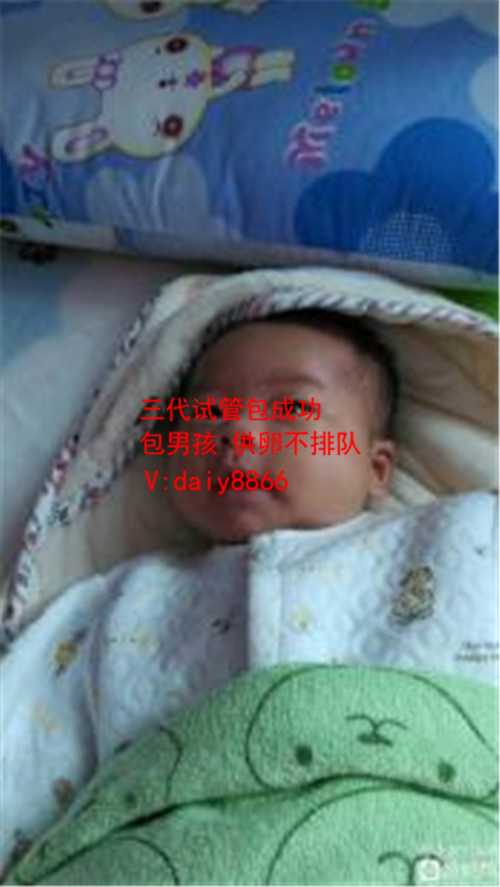 上海借卵生儿子_去医院做试管婴儿需要请假吗？一般需要休息几天？